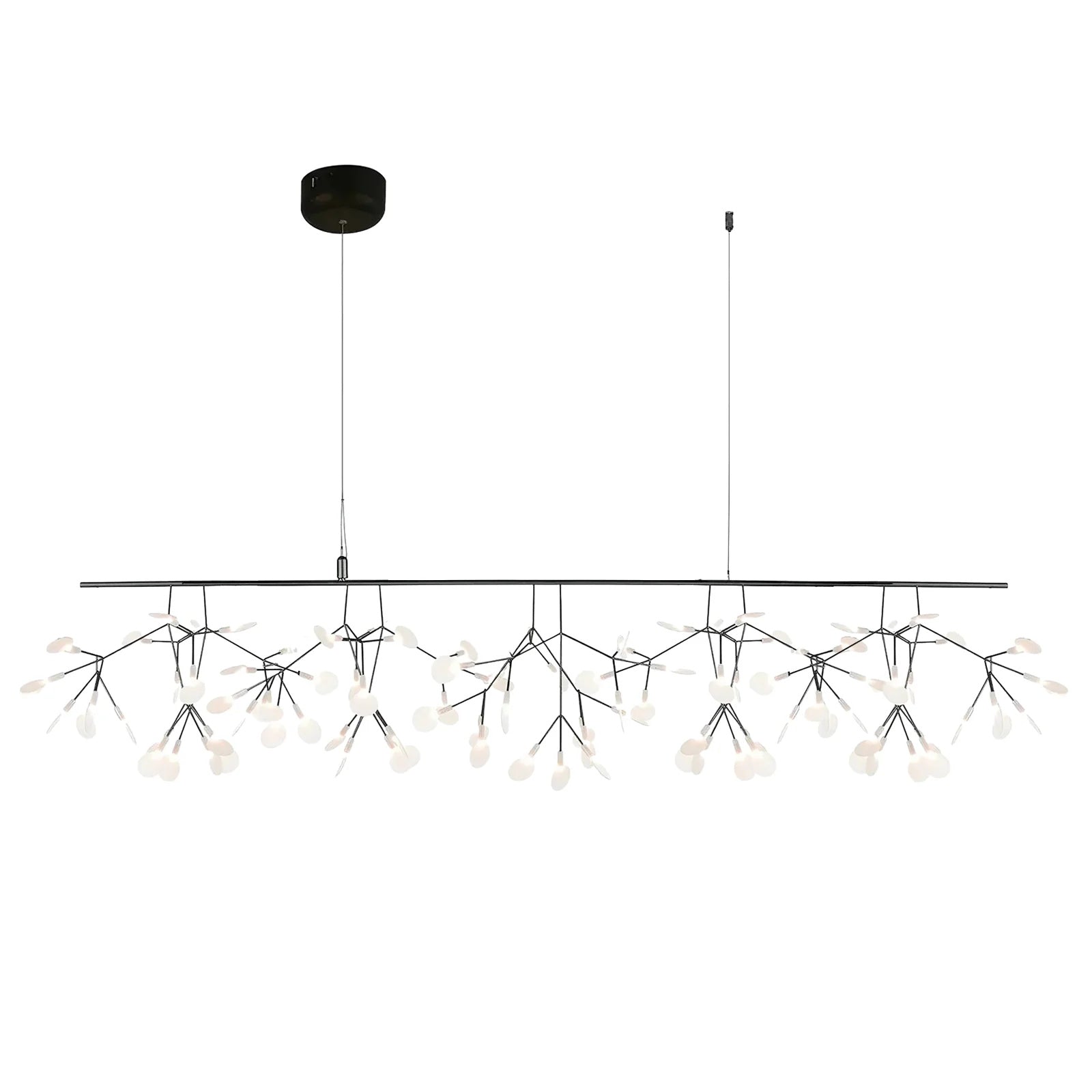 Candelabros negros Heracleum