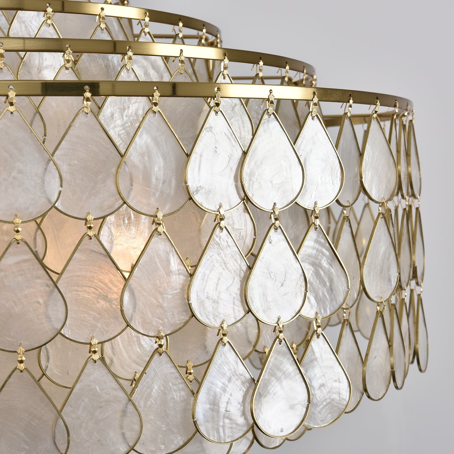 Abbington Shell Chandelier