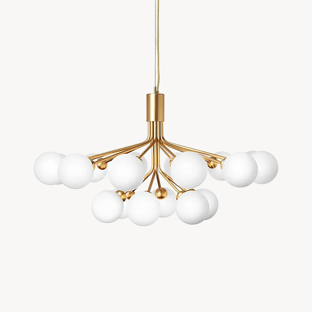 Apiales Chandeliers