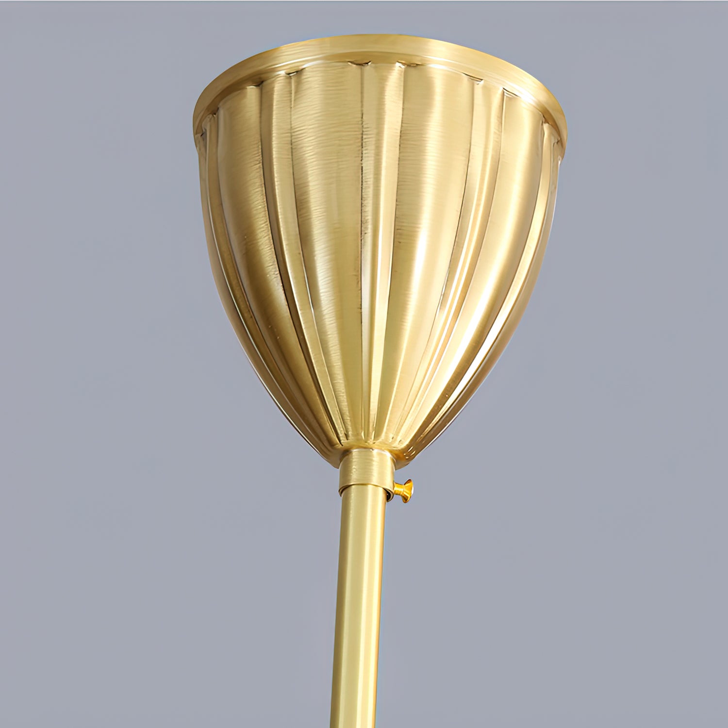 Cavella Chandelier