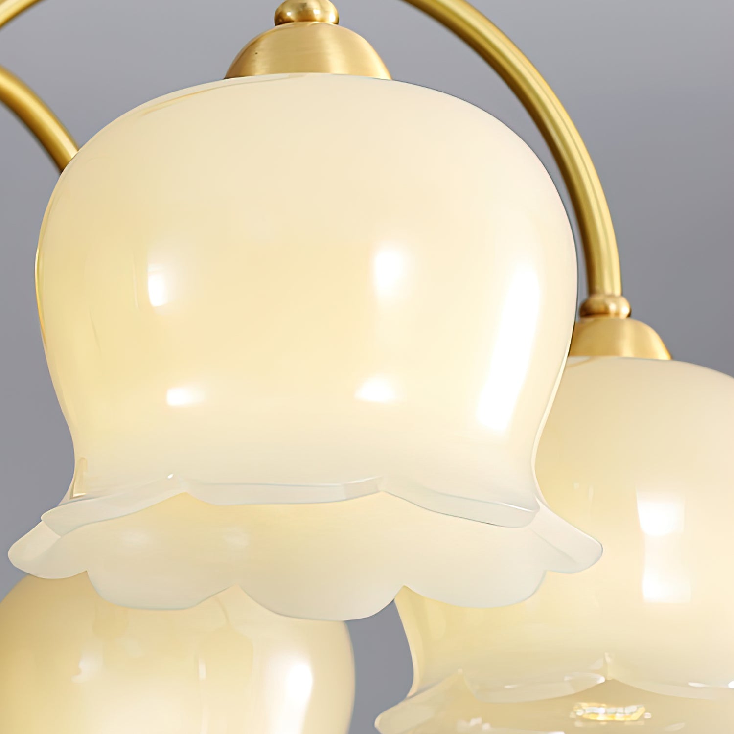 Cavella Chandelier