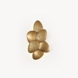 Lasha Wall Lamp
