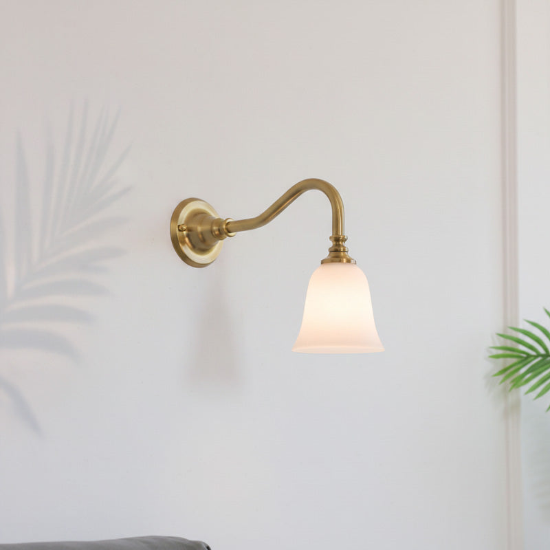 Clara Gooseneck Wall Sconce