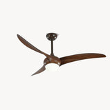 Traditional Ceiling Fan Light