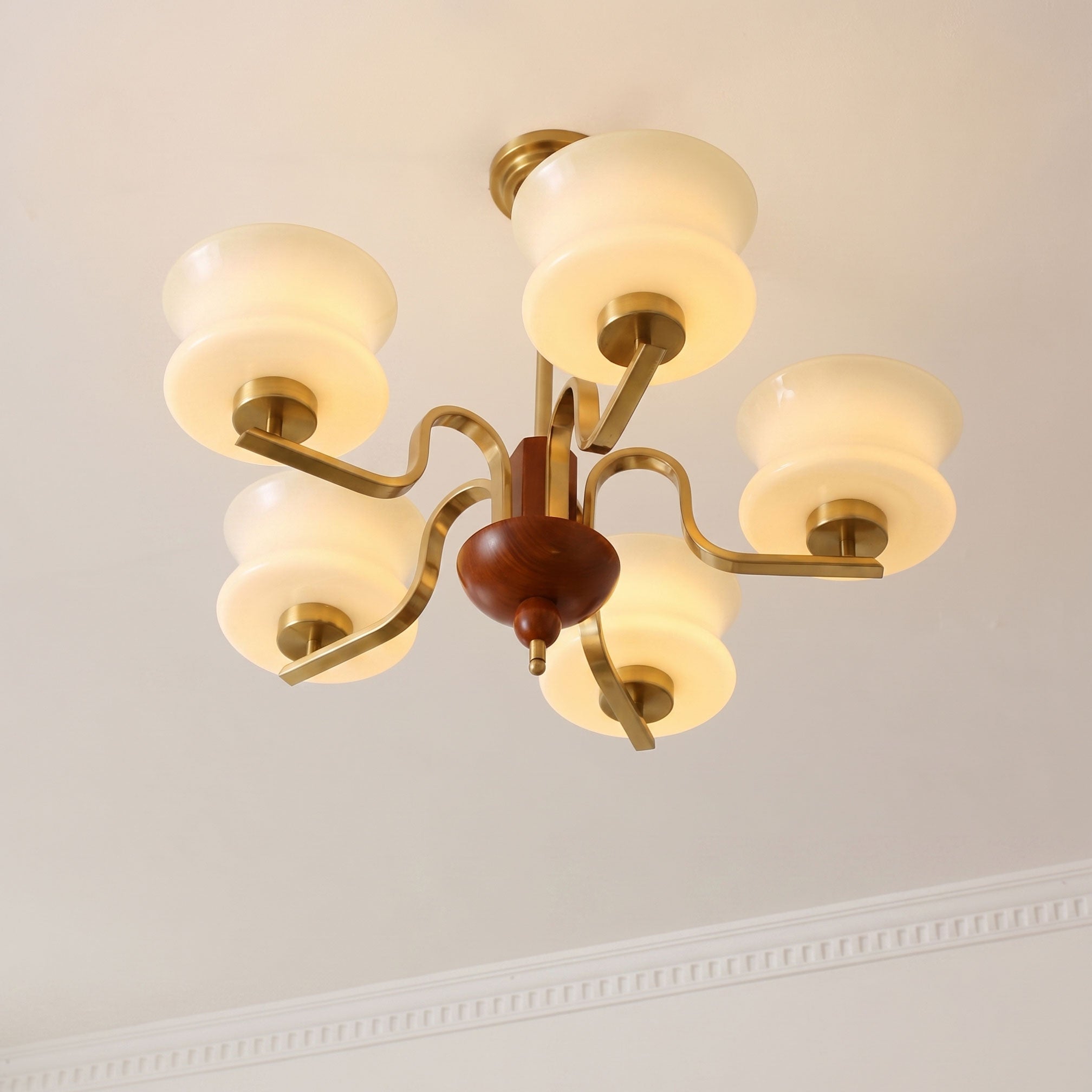 Astrid Scalloped Chandelier