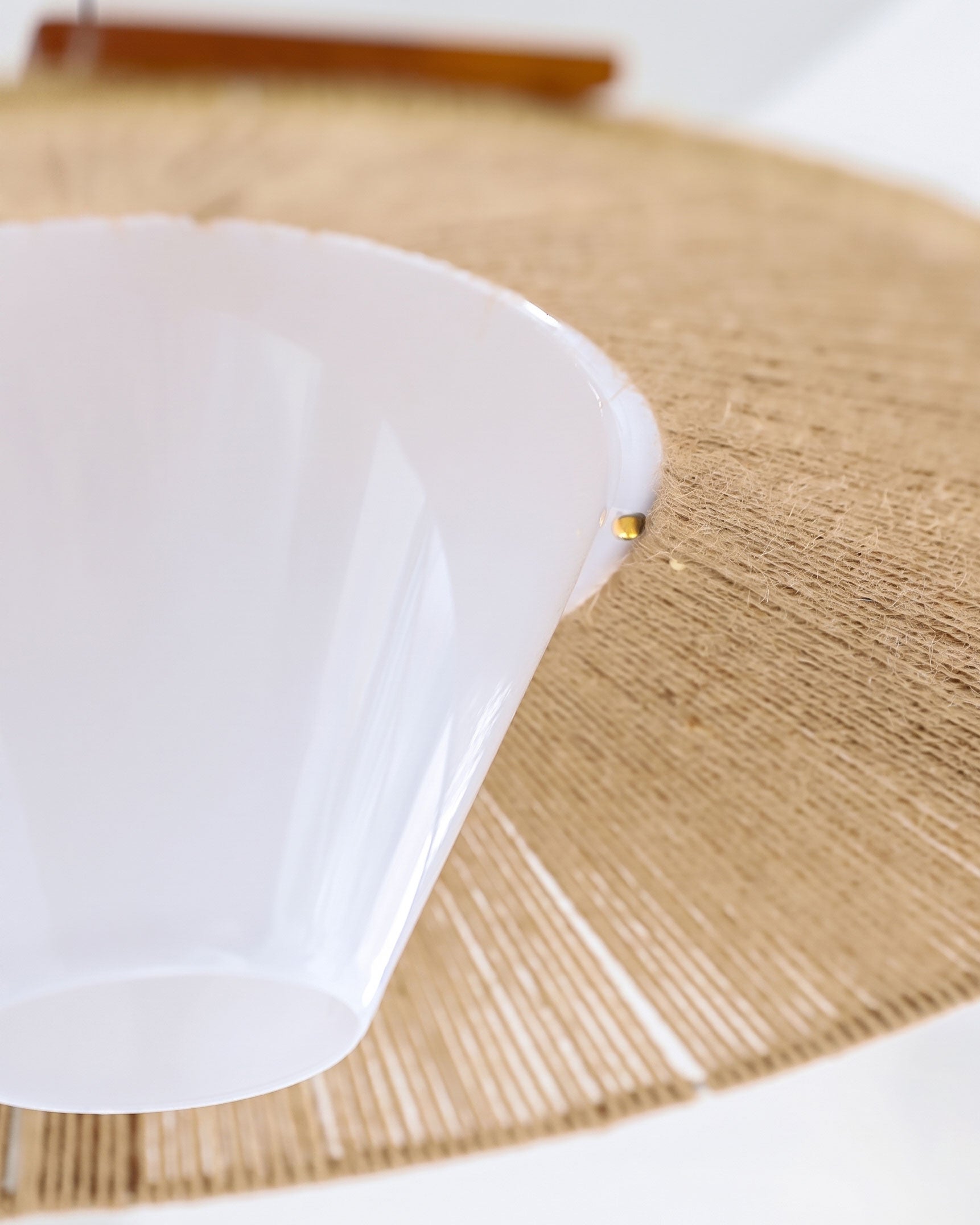 Bria Hemp Rope Pendant Light