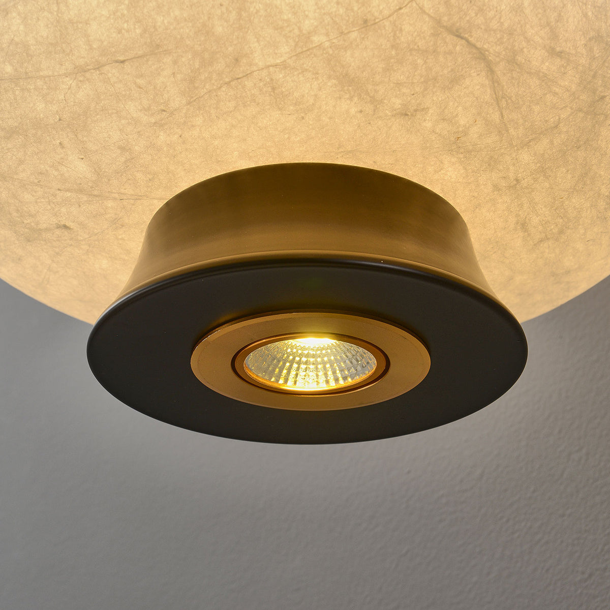 Brienna Natural Silk Wall Sconce
