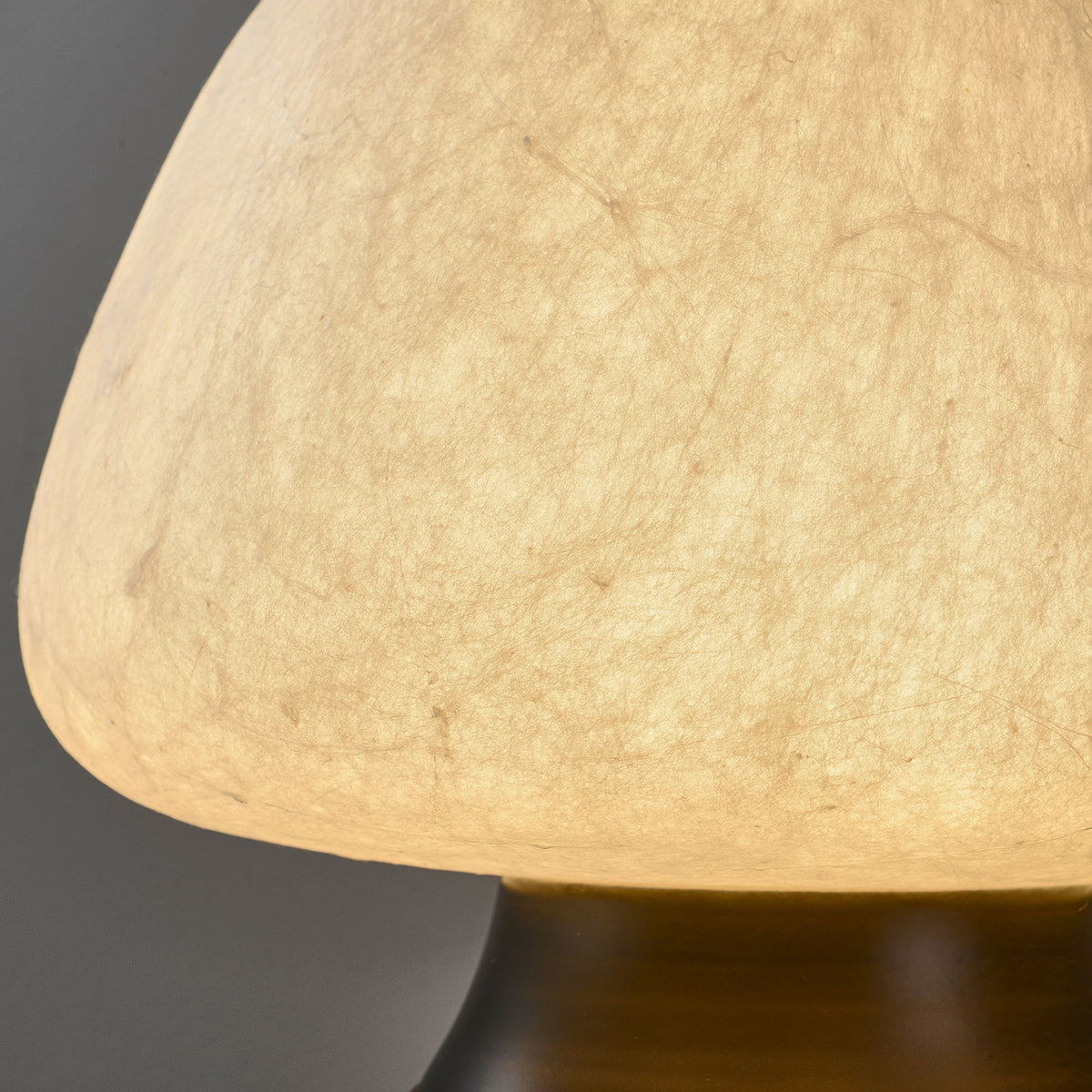 Brienna Natural Silk Wall Sconce