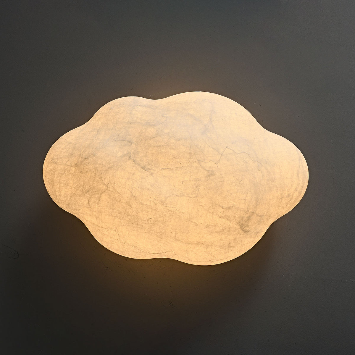 Cecily Organic Flush Mount Ceiling Light
