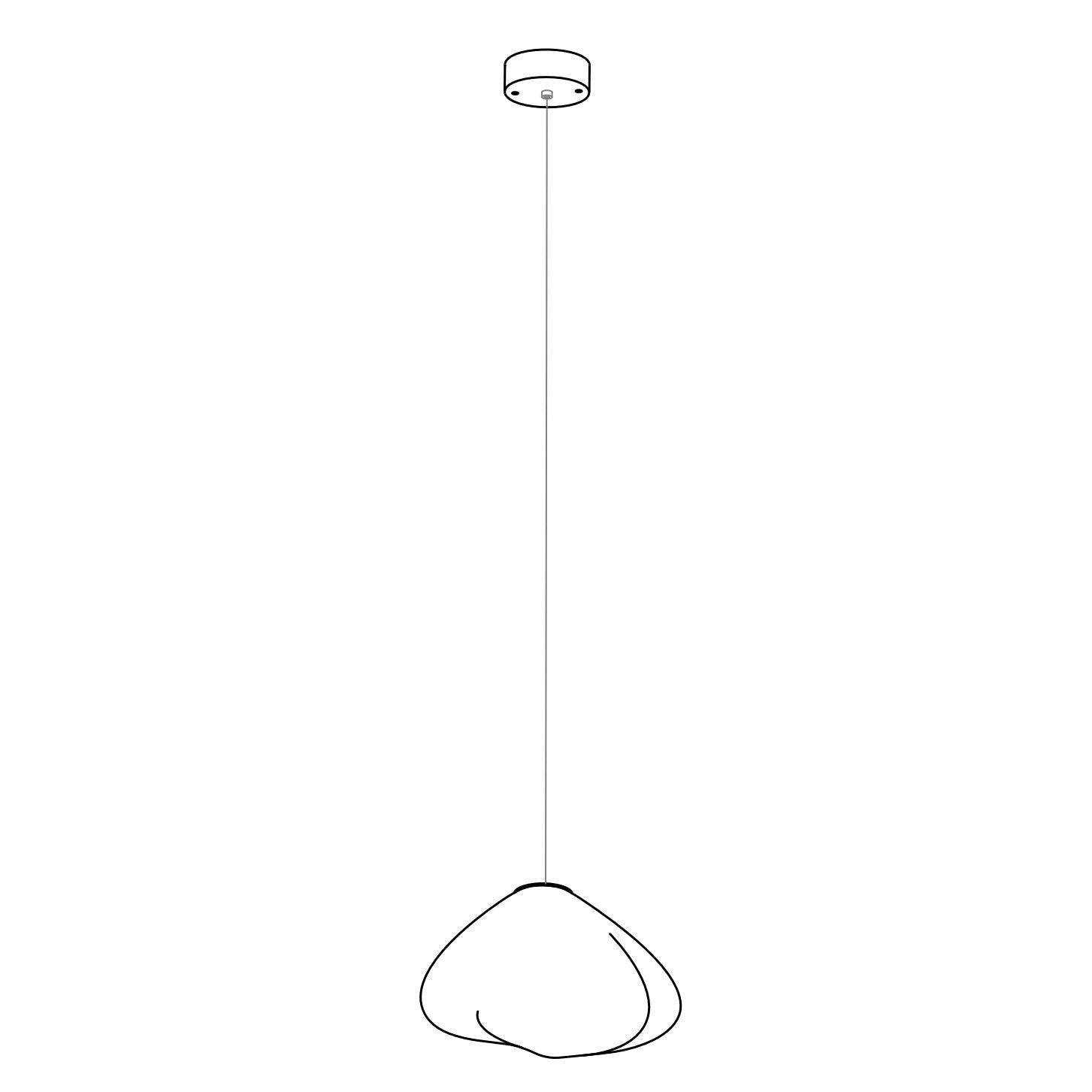 73 Random Pendant Light.