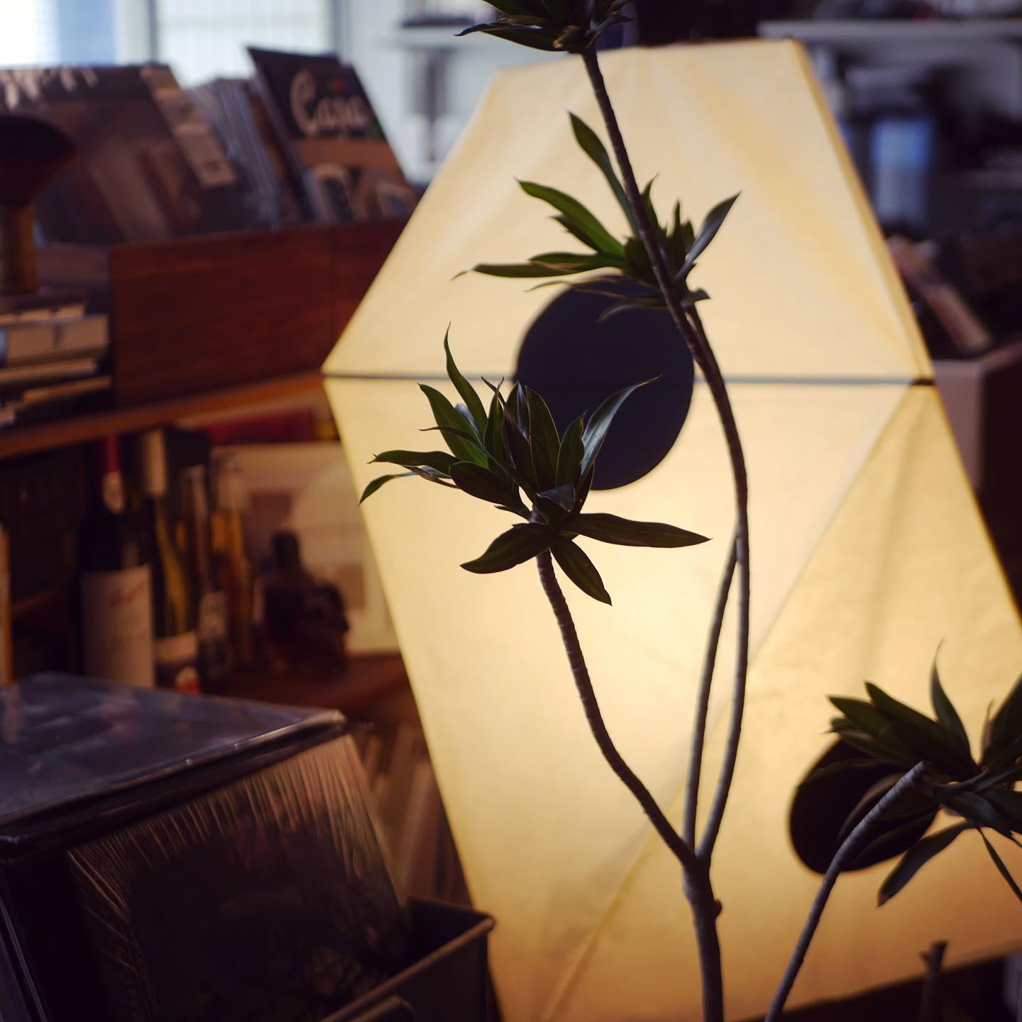 Lampadaire Akari UF3-Q