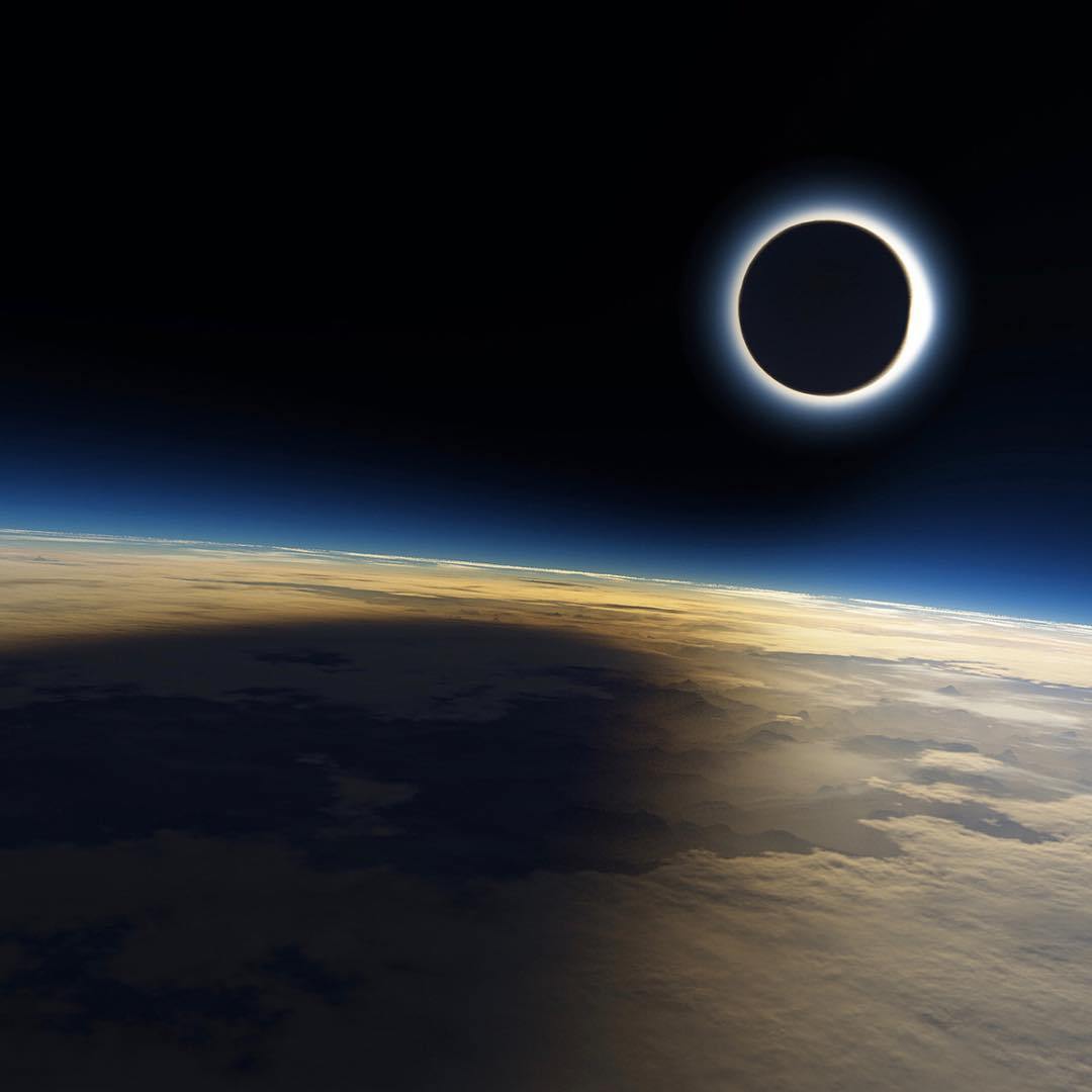 Chrona dish Suspension