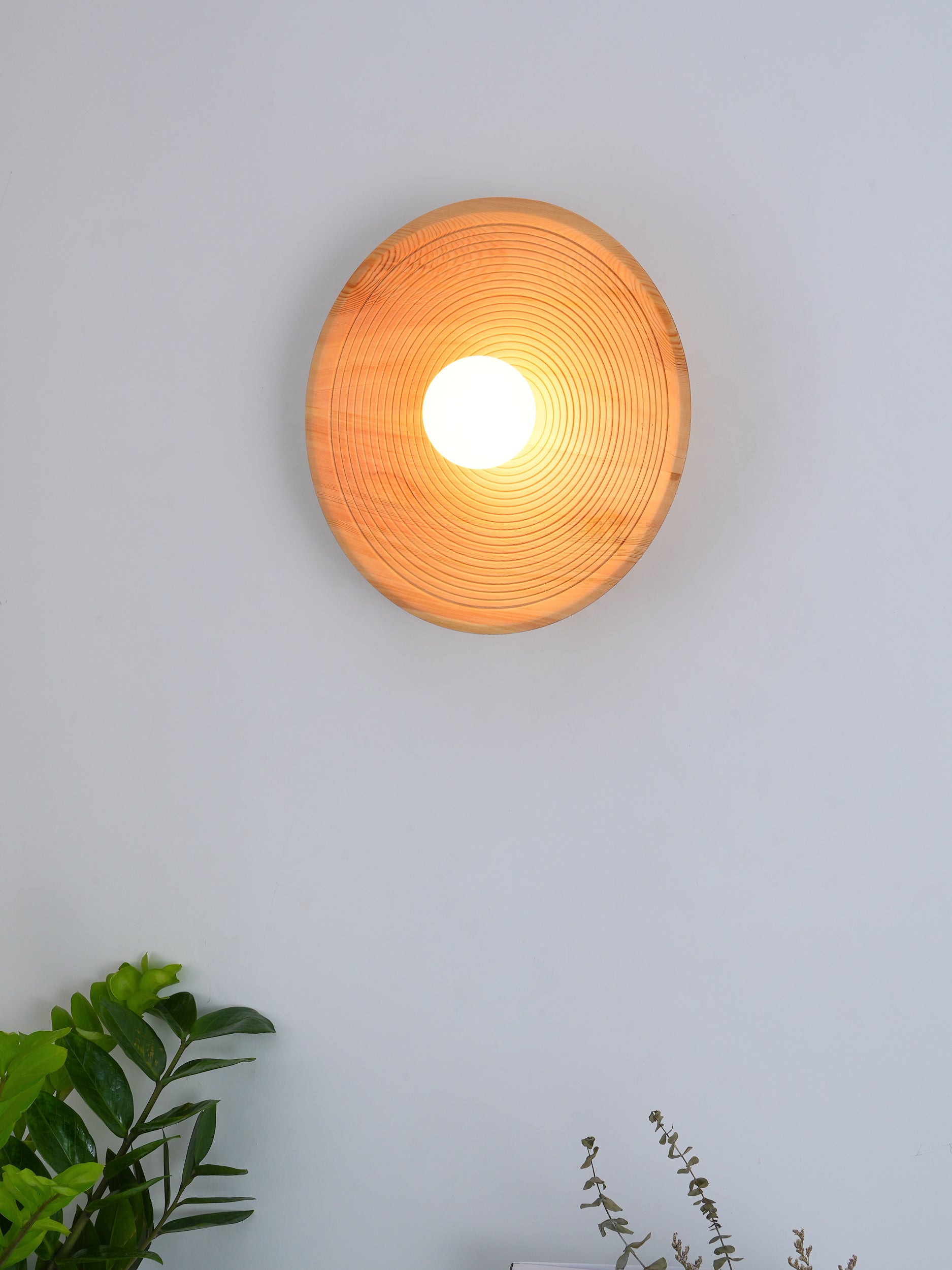 Annual Ring Wall Lamp