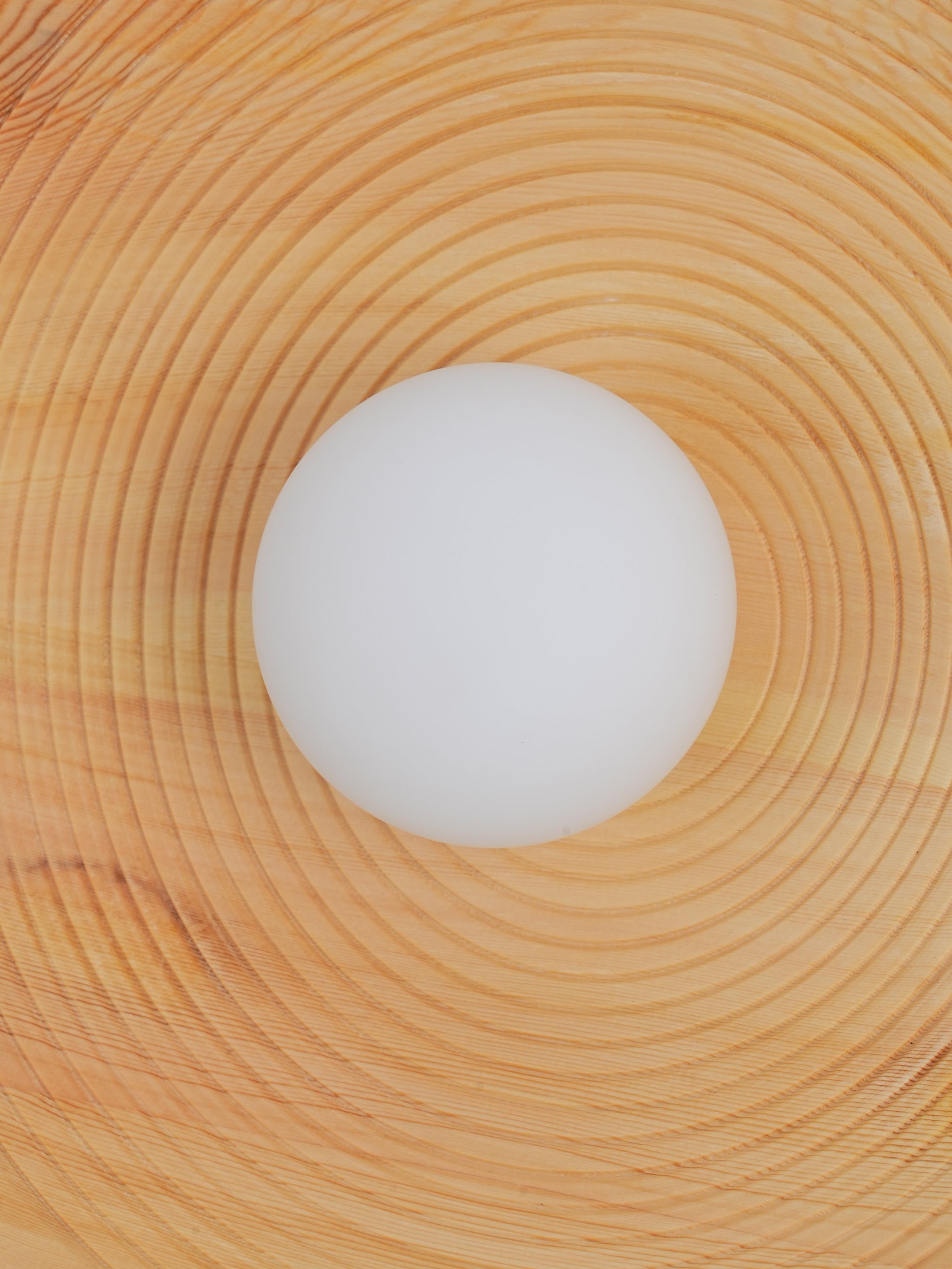 Annual Ring Wall Lamp