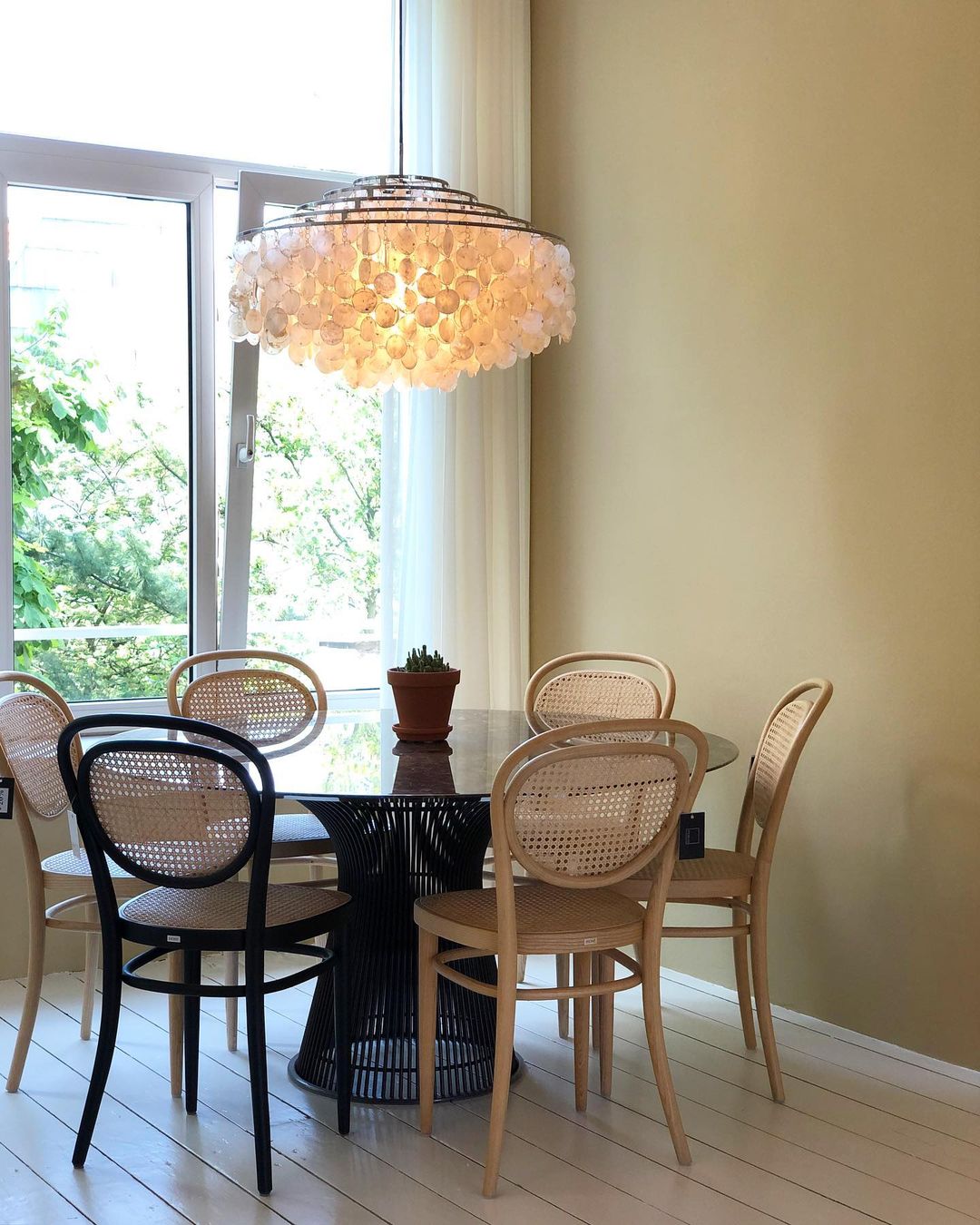 Candelabro de concha redonda
