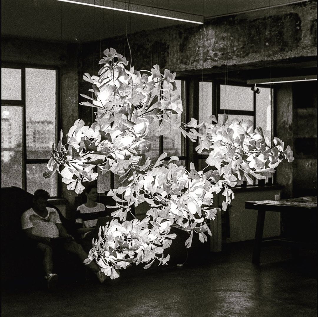 Lustre Gingko C
