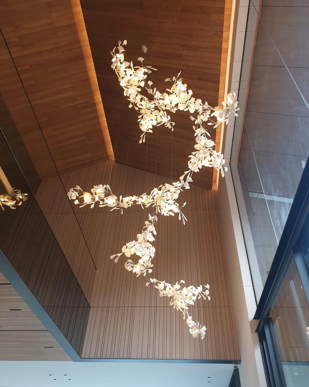 Lustre Gingko C
