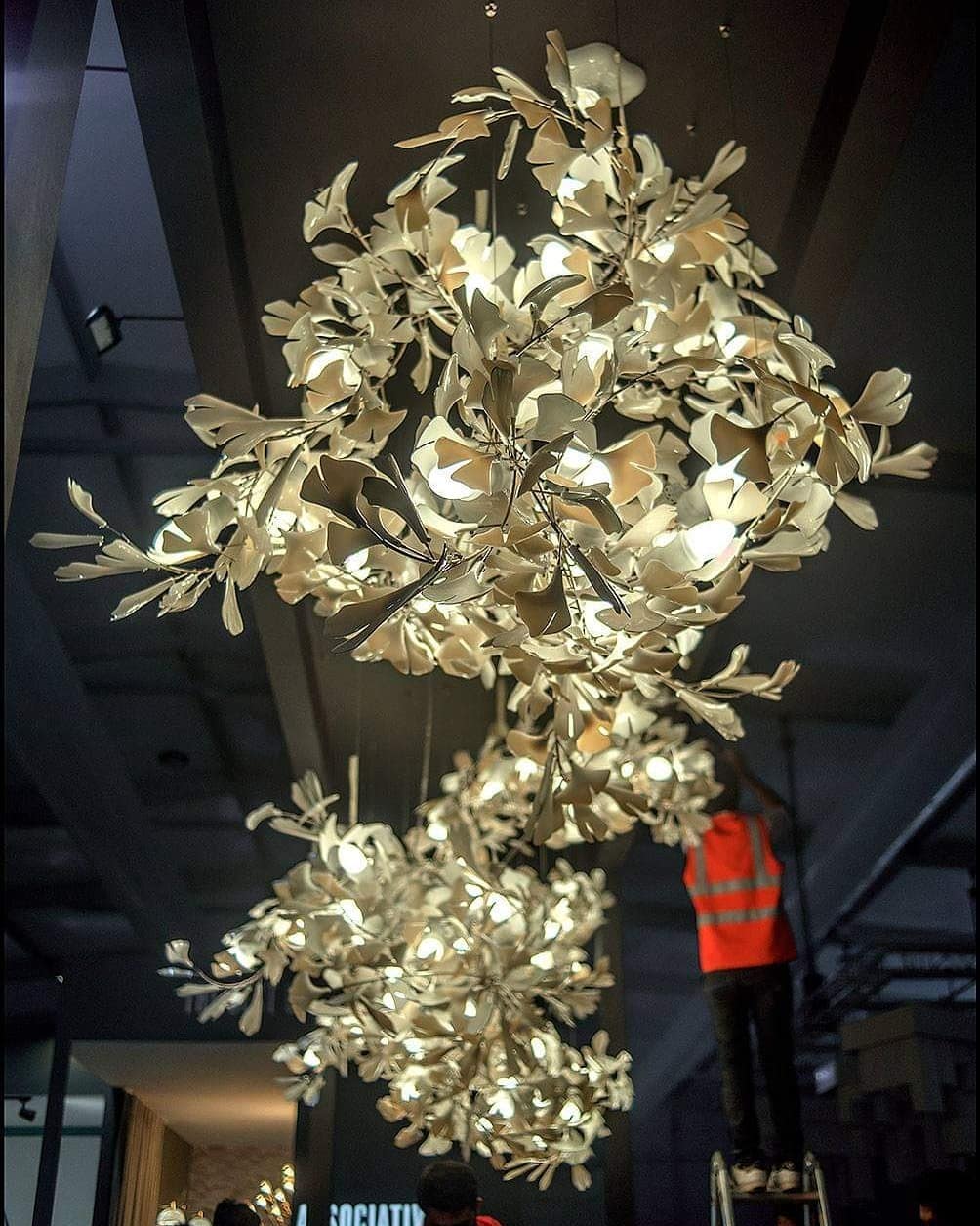 Lustre Gingko C