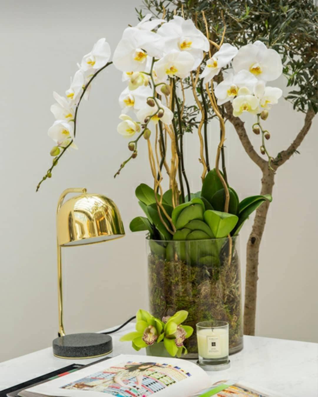 Grant Table Lamp