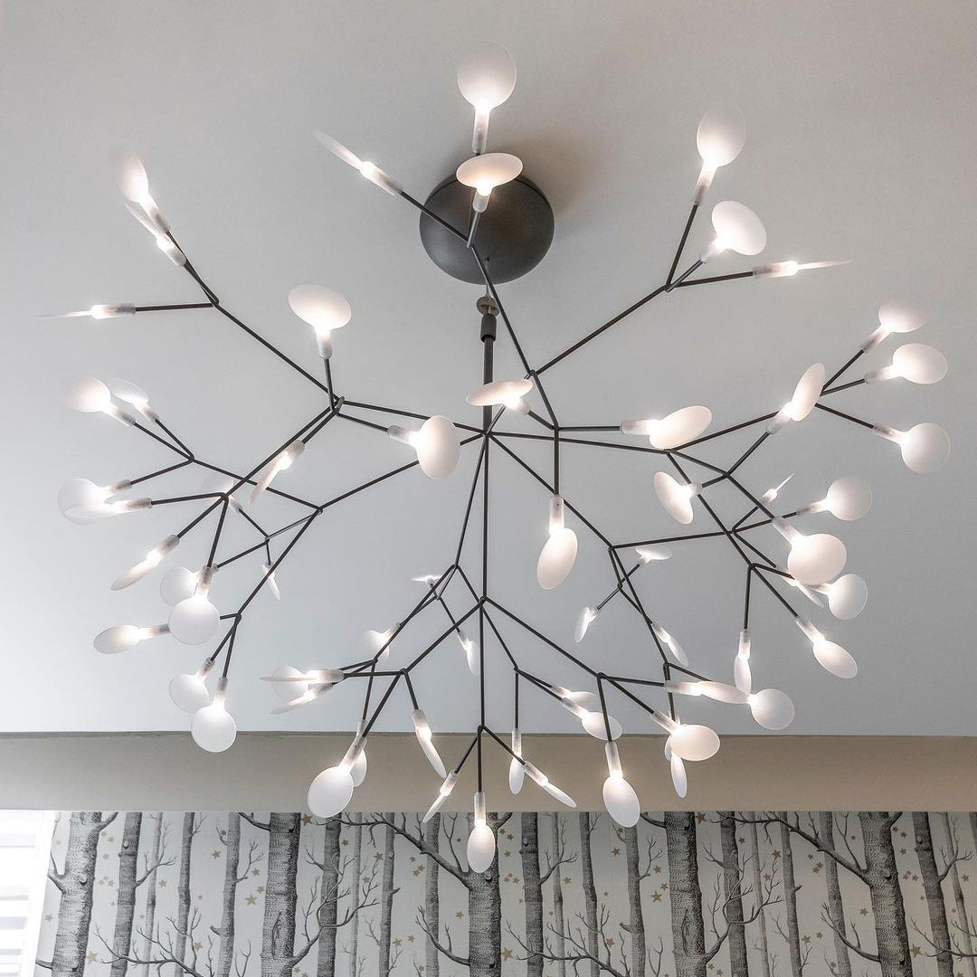 Candelabros negros Heracleum