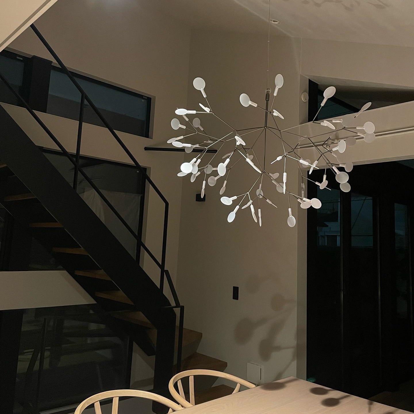 Candelabros negros Heracleum