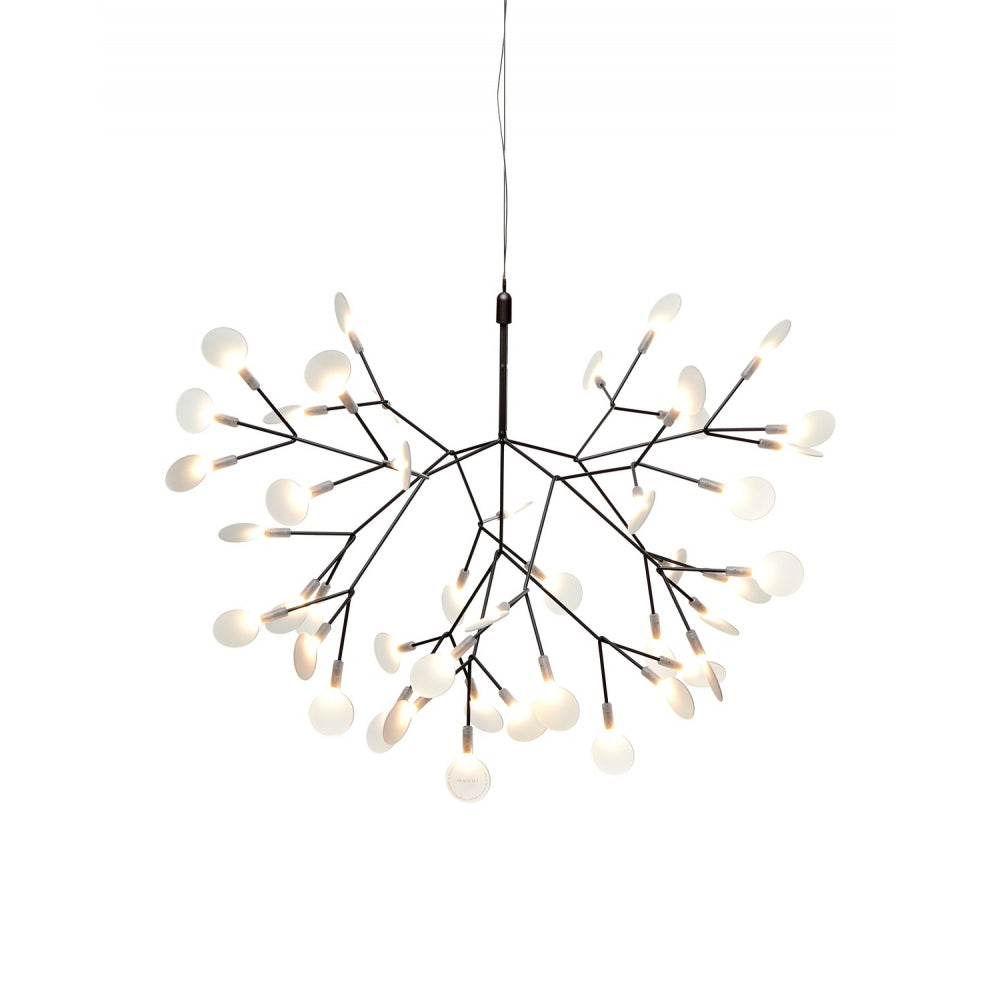 Candelabros negros Heracleum