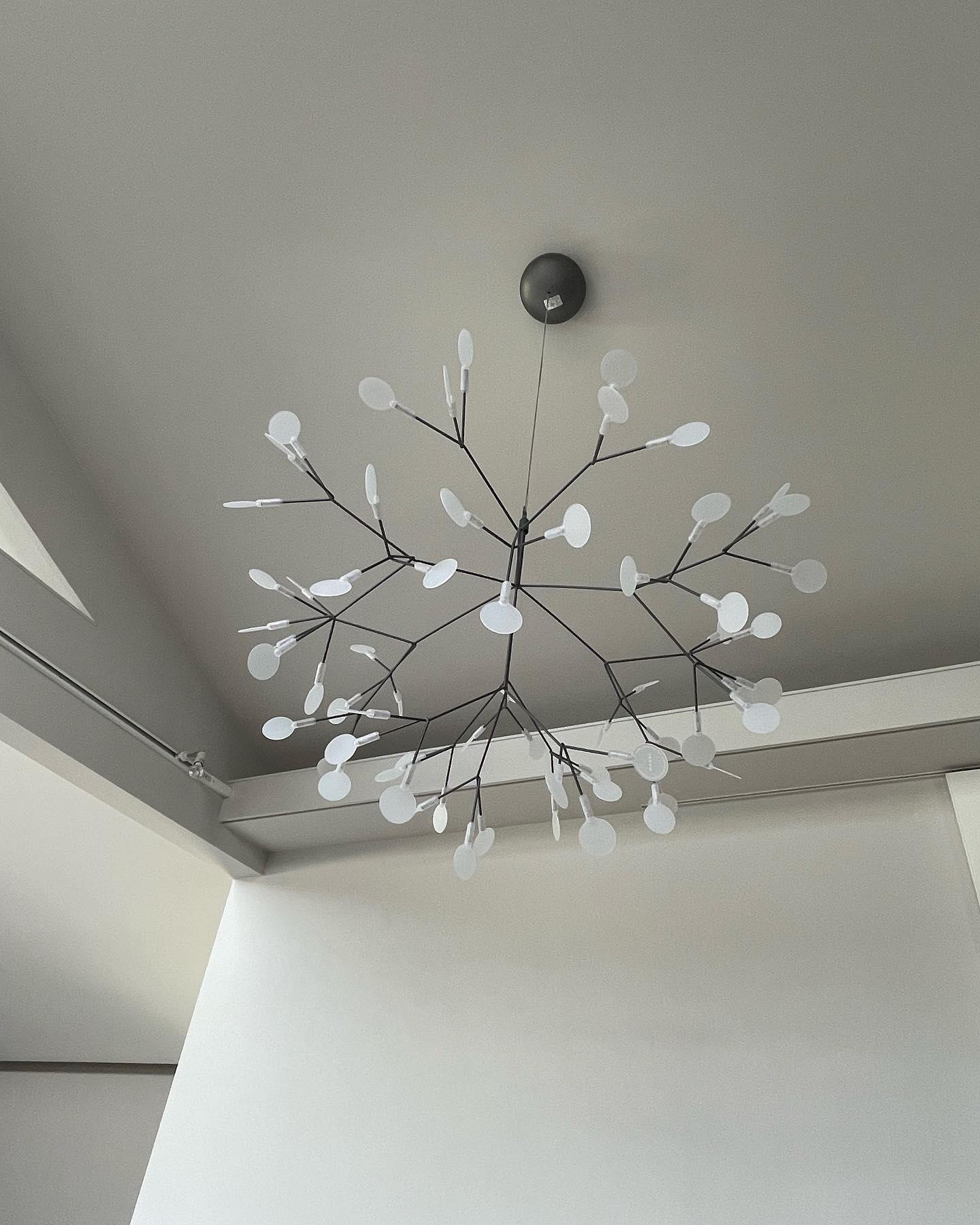 Candelabros negros Heracleum