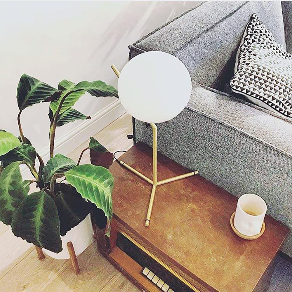 IC Lights Table Lamp series
