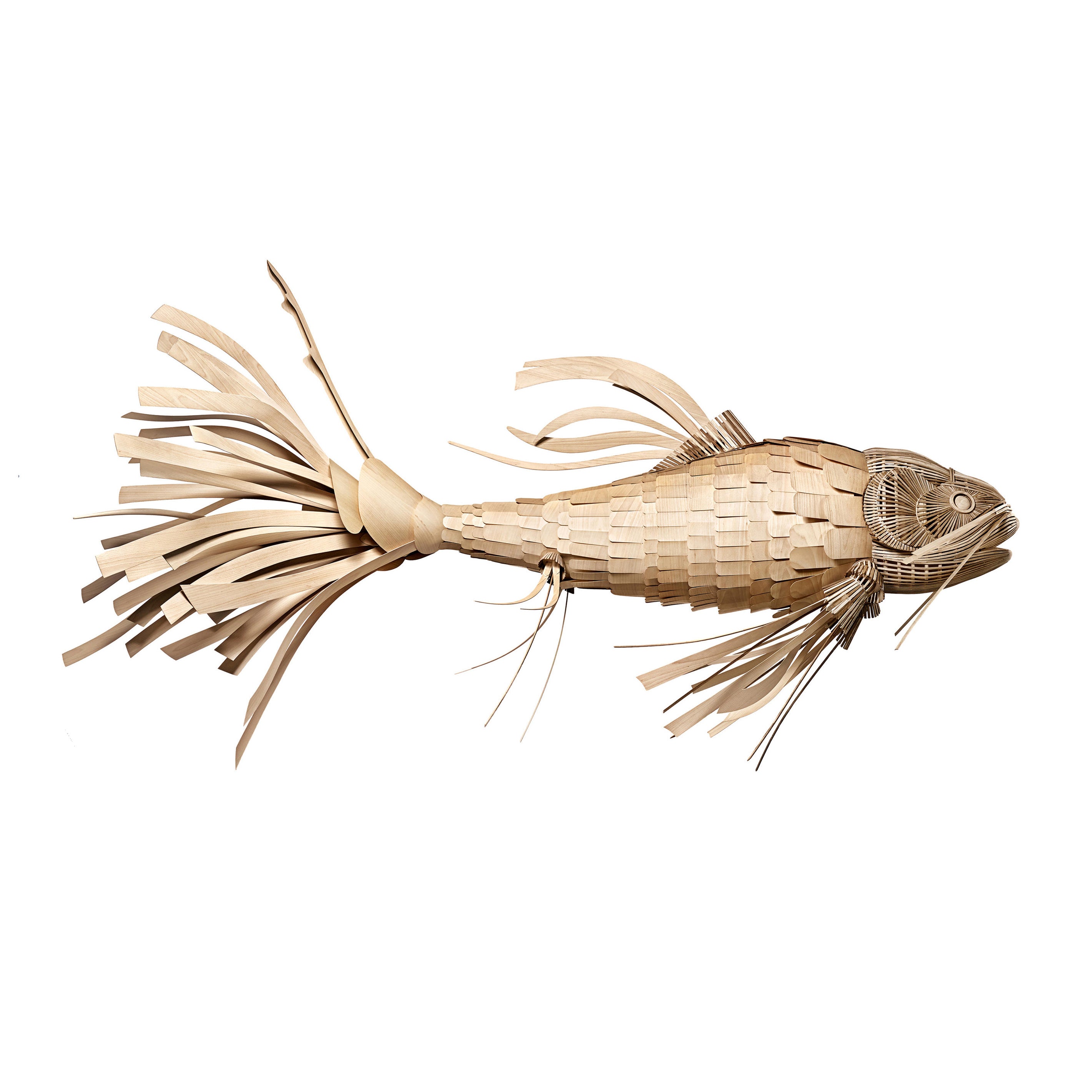 Koi-Kronleuchter