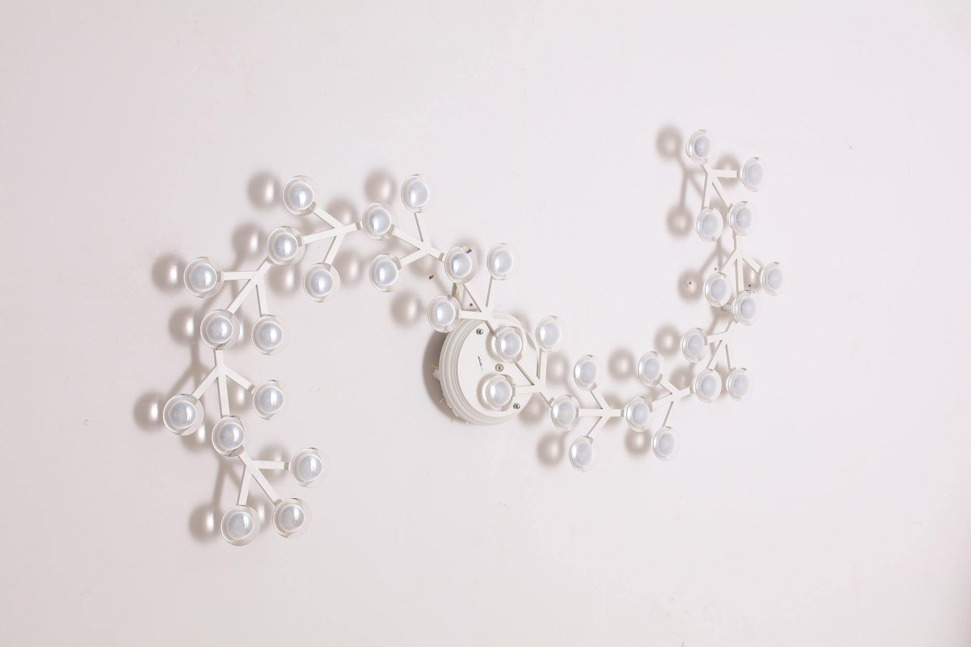 LED net Ceiling Wall Lamp