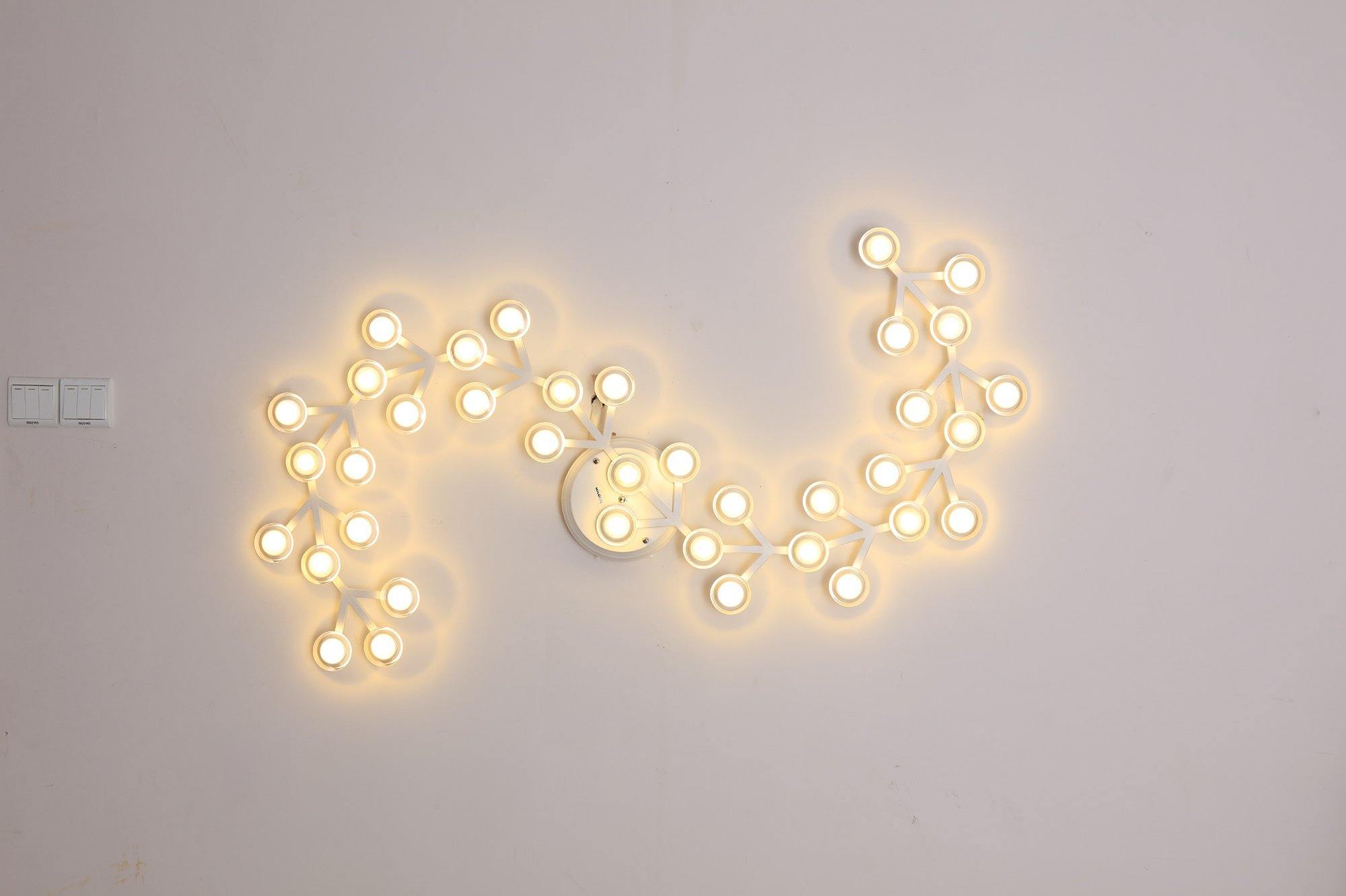 LED net Ceiling Wall Lamp