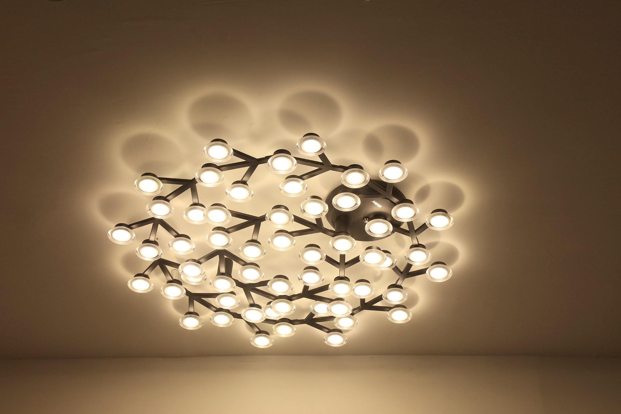 LED net Ceiling Wall Lamp