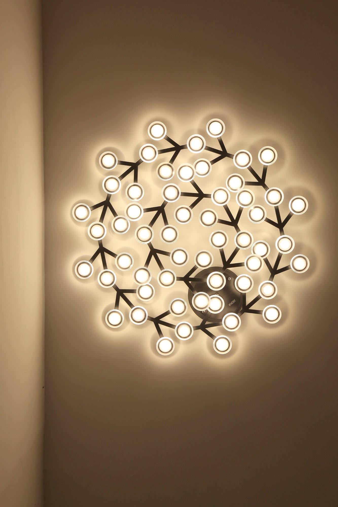 LED net Ceiling Wall Lamp