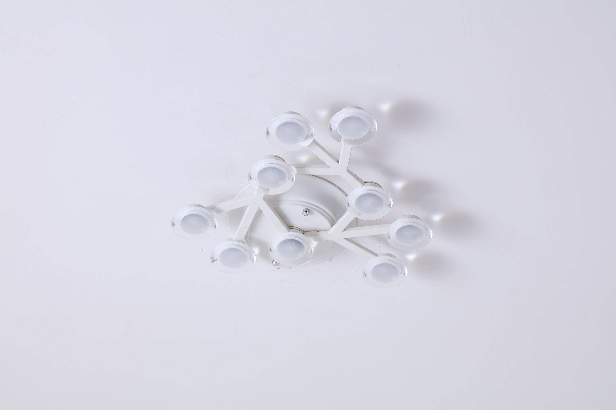 LED net Ceiling Wall Lamp