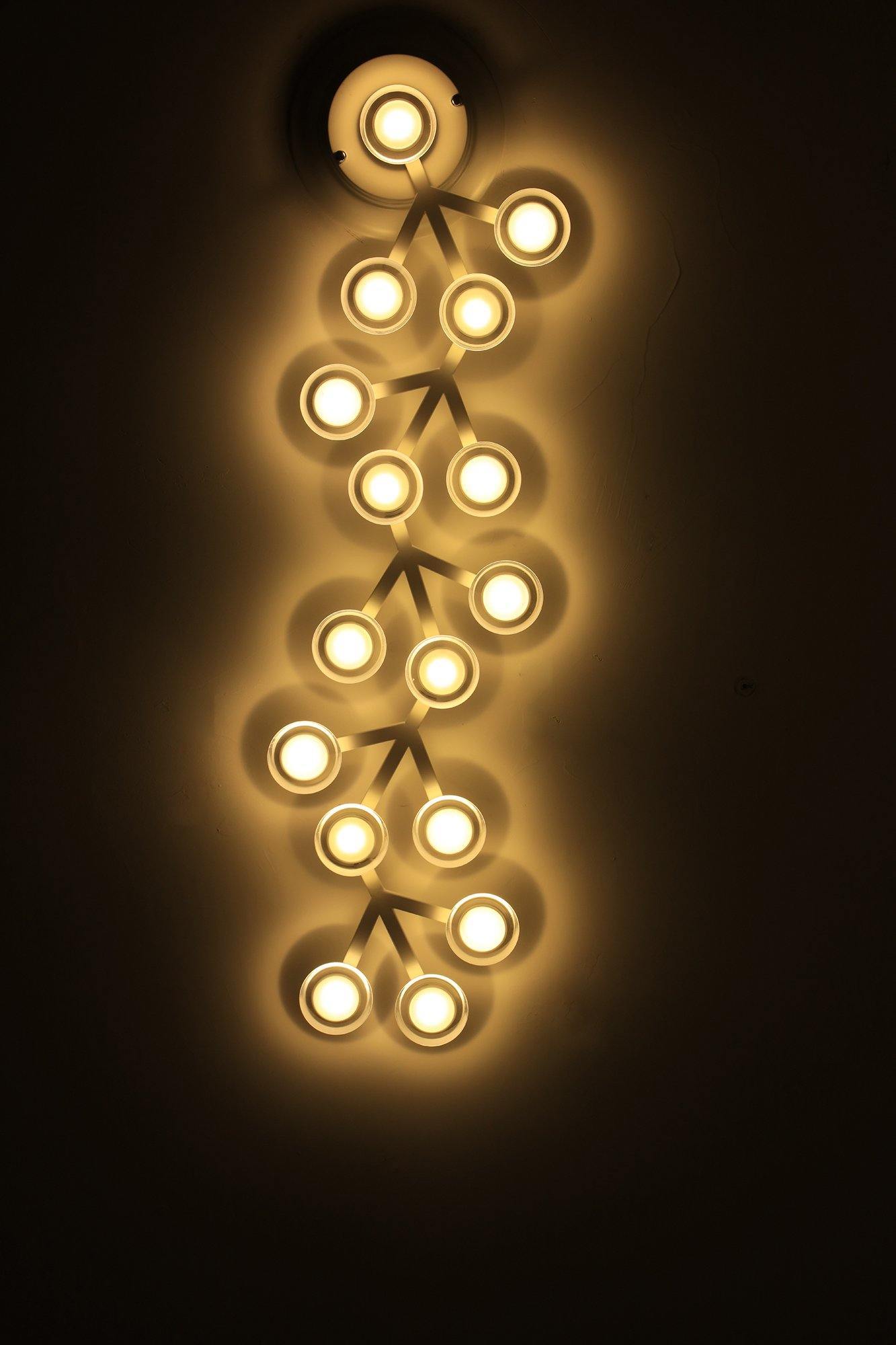 LED net Ceiling Wall Lamp
