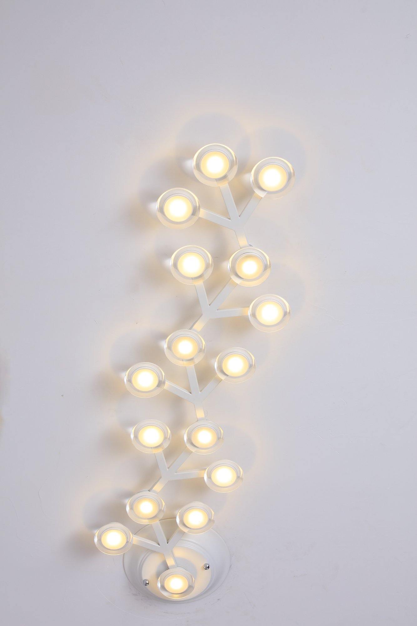 LED net Ceiling Wall Lamp