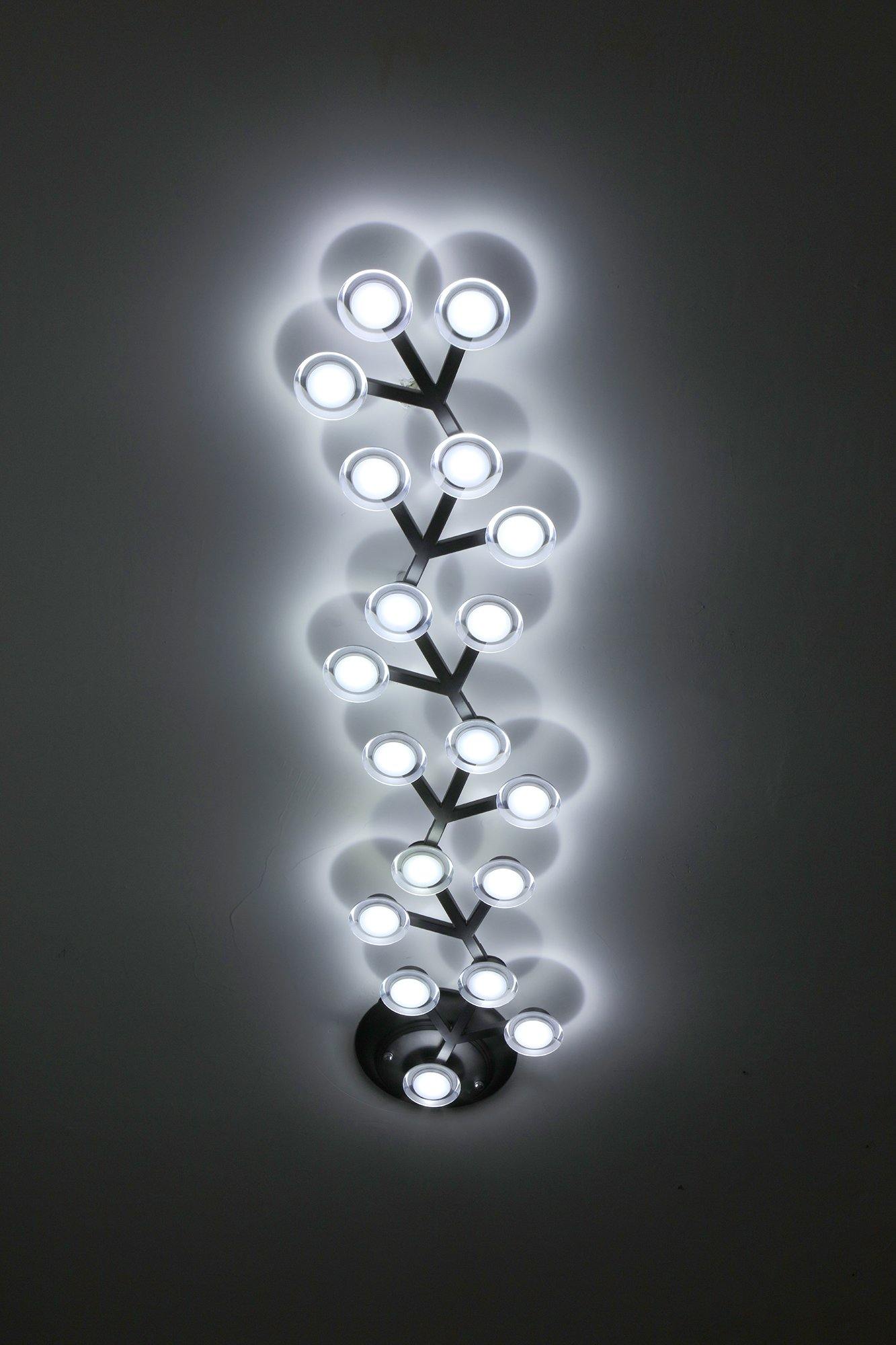 LED net Ceiling Wall Lamp