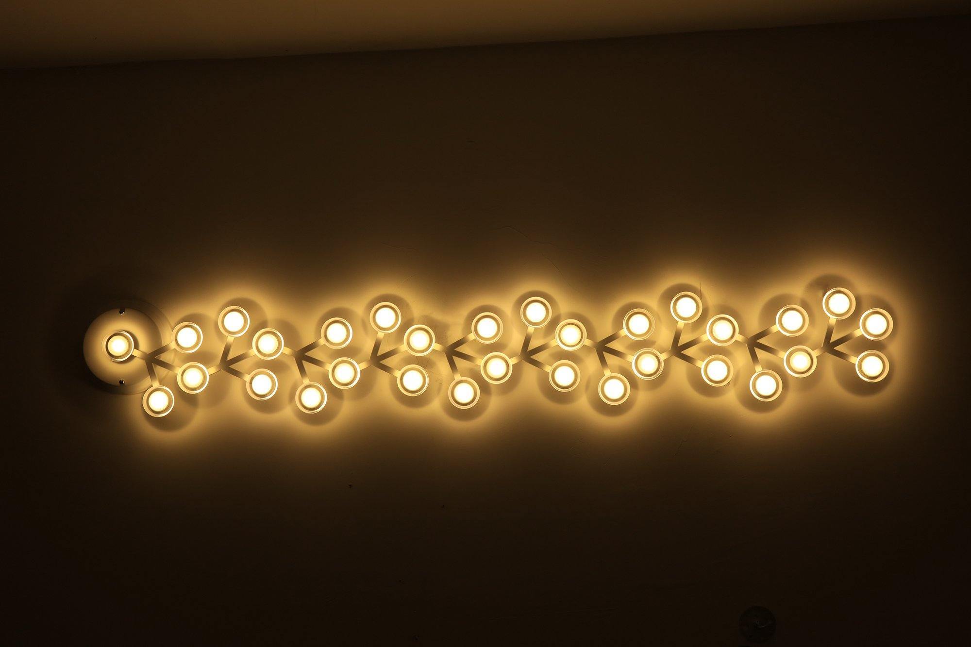 LED net Ceiling Wall Lamp
