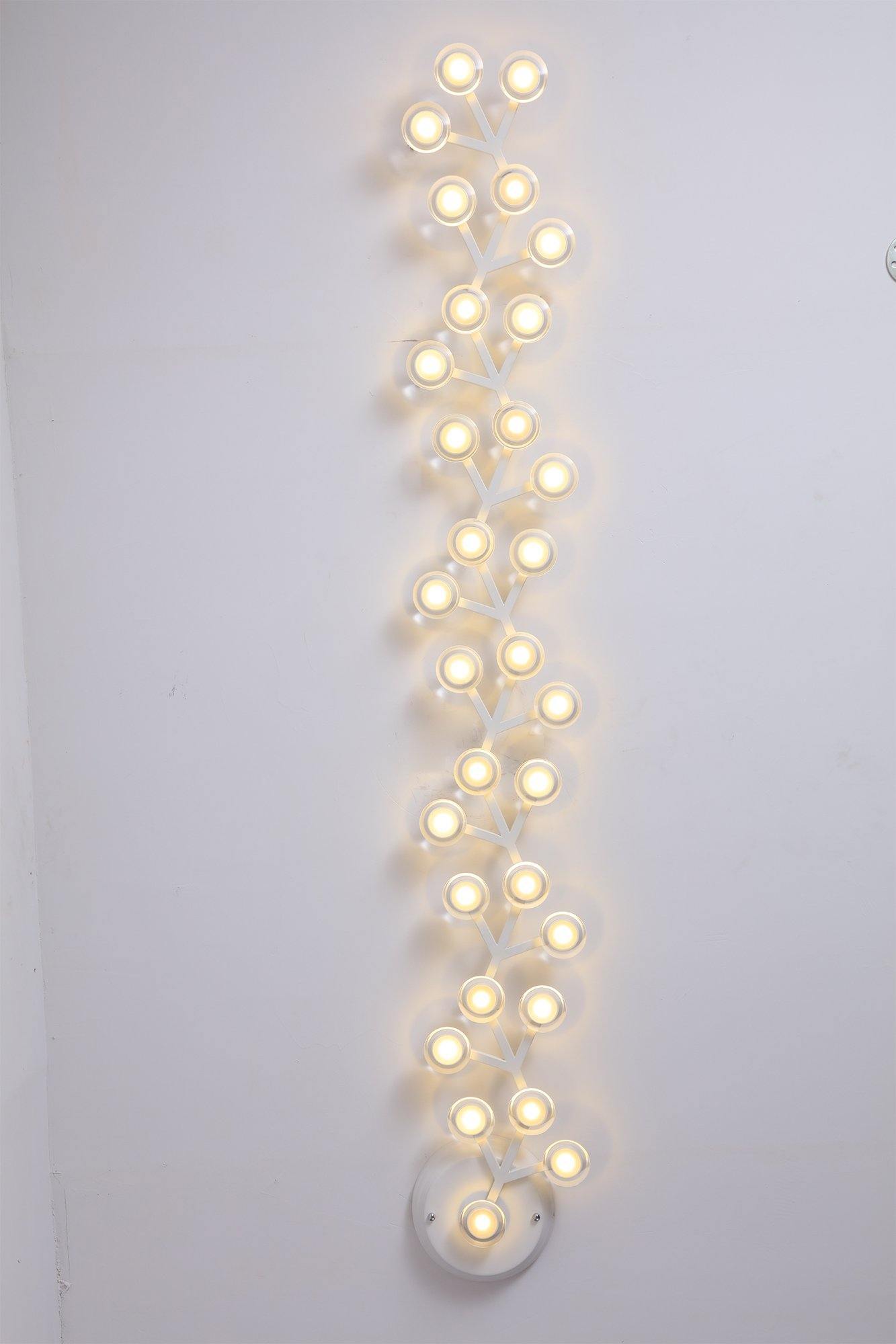 LED net Ceiling Wall Lamp