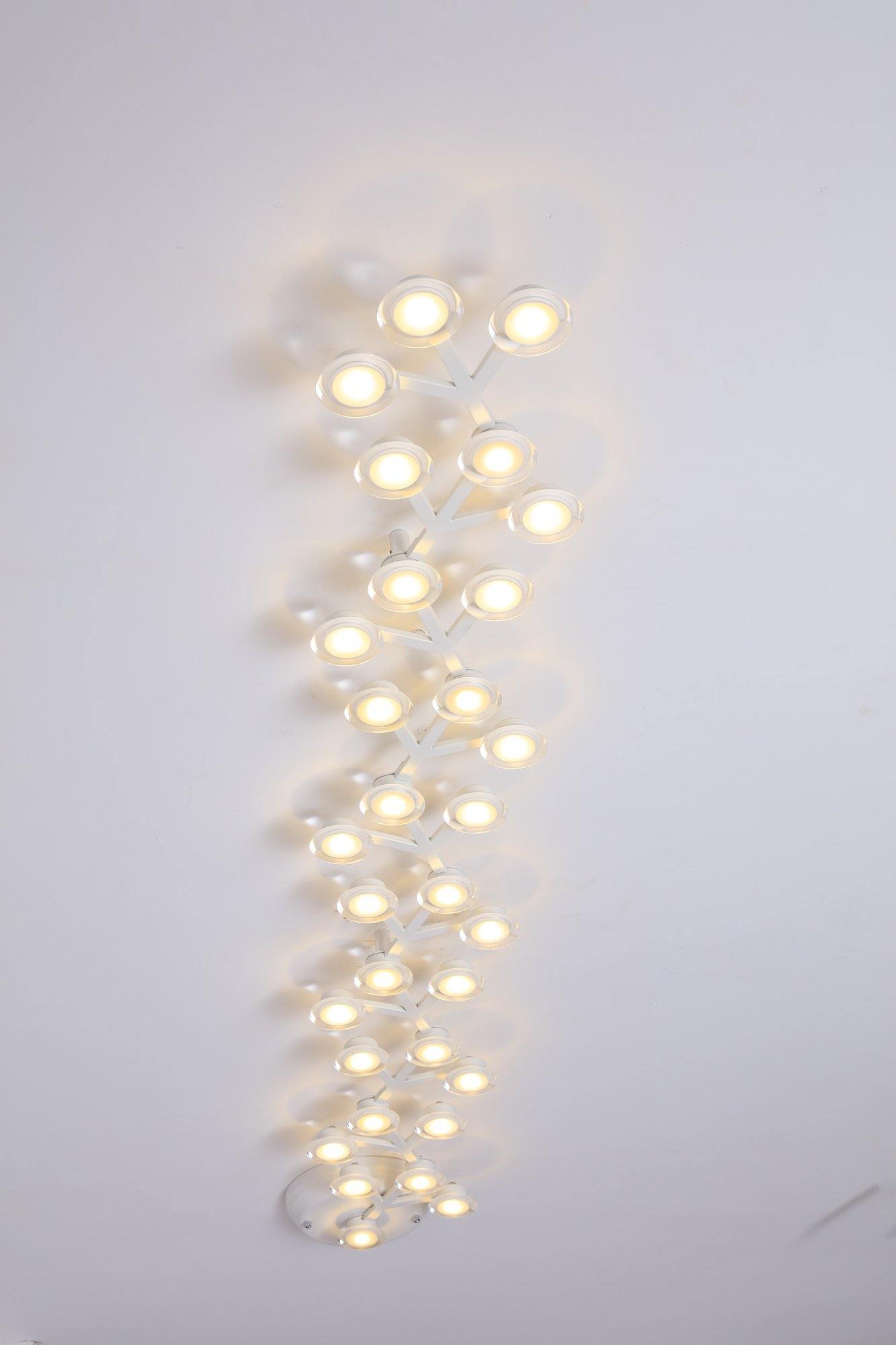 LED net Ceiling Wall Lamp
