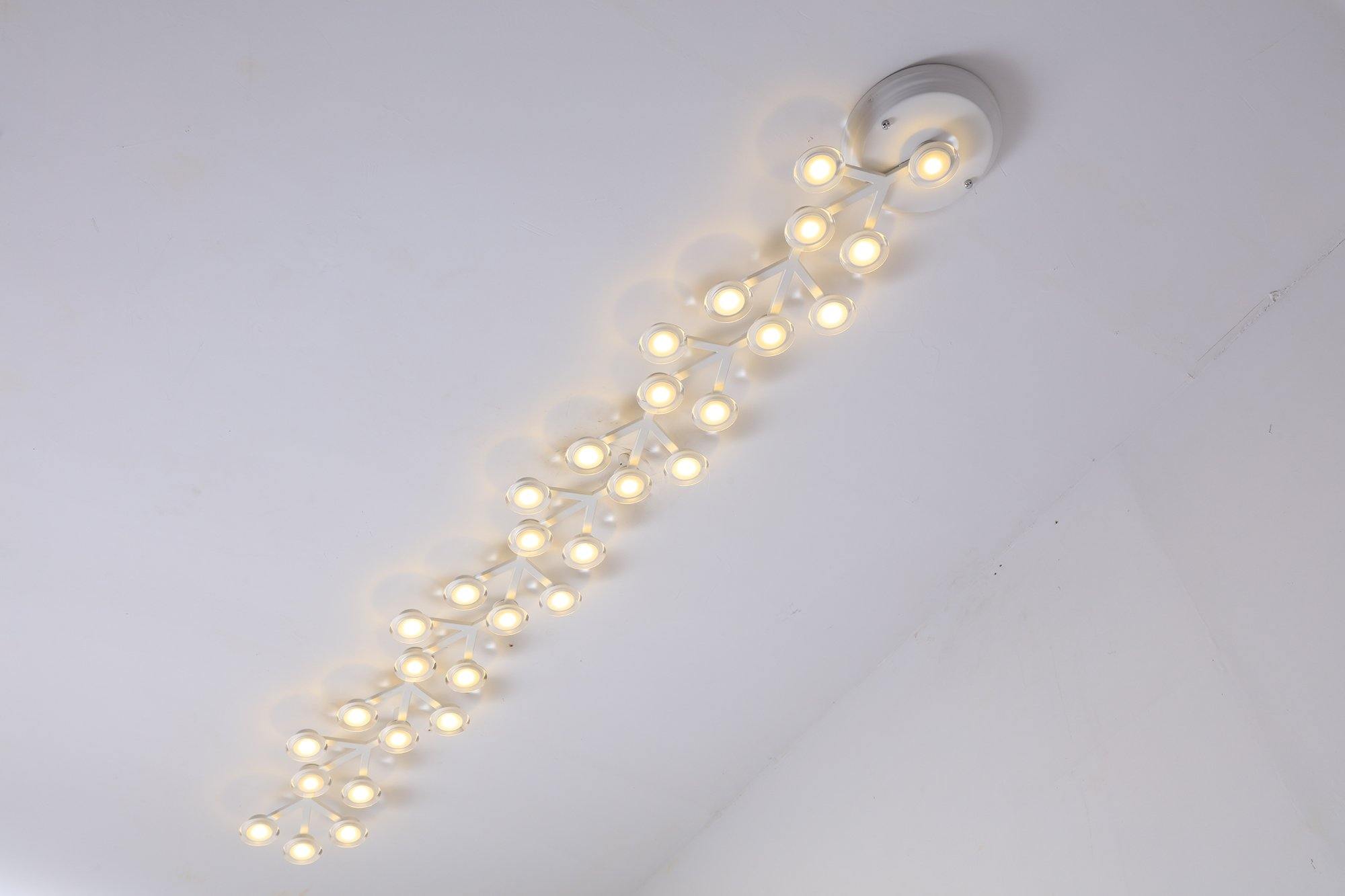 LED net Ceiling Wall Lamp