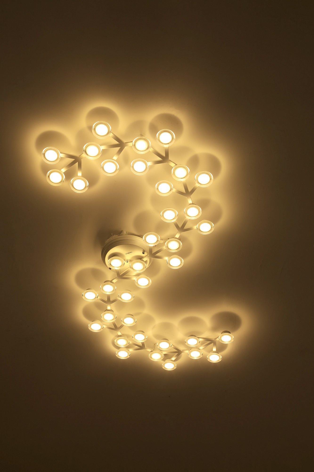 LED net Ceiling Wall Lamp