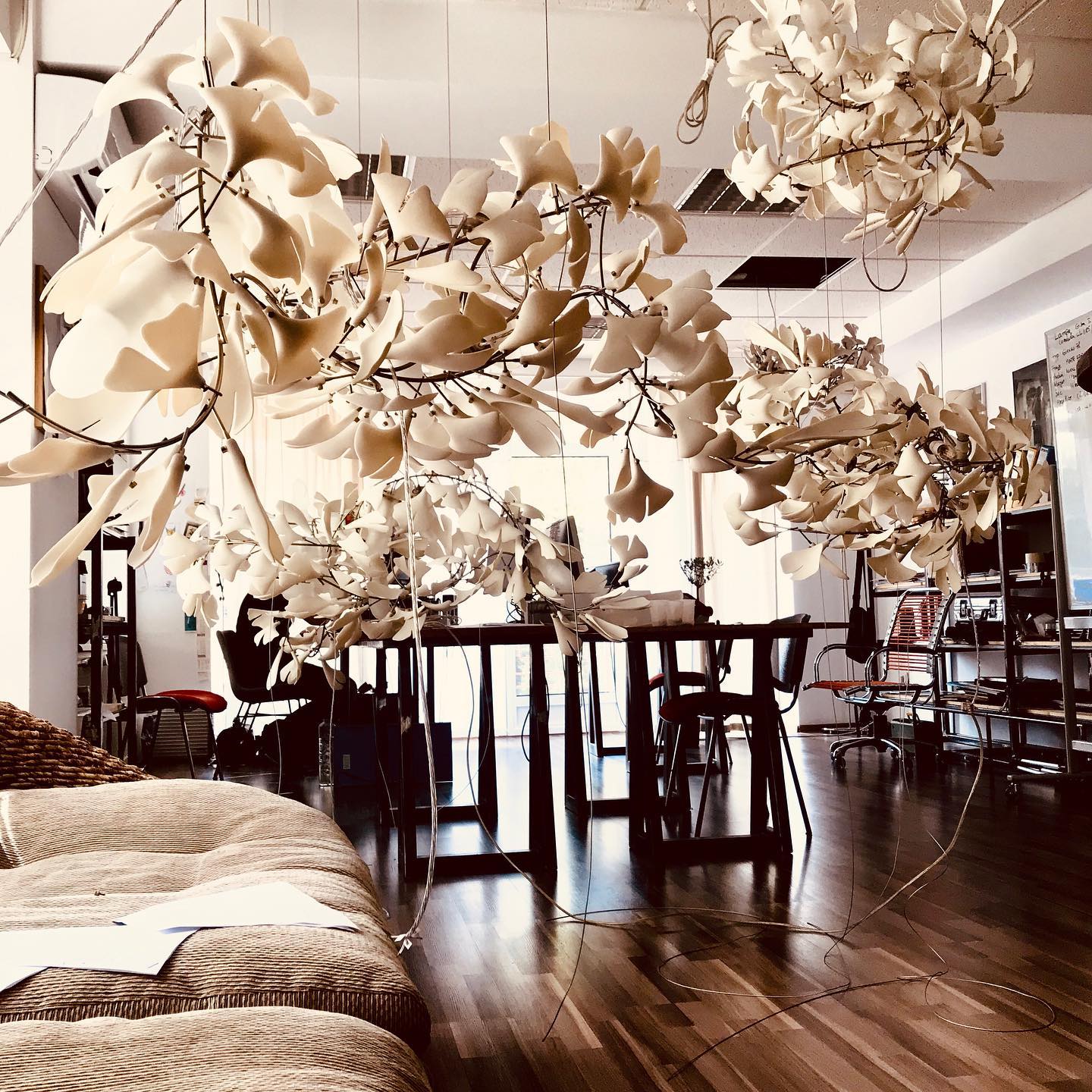 Lustre Gingko G