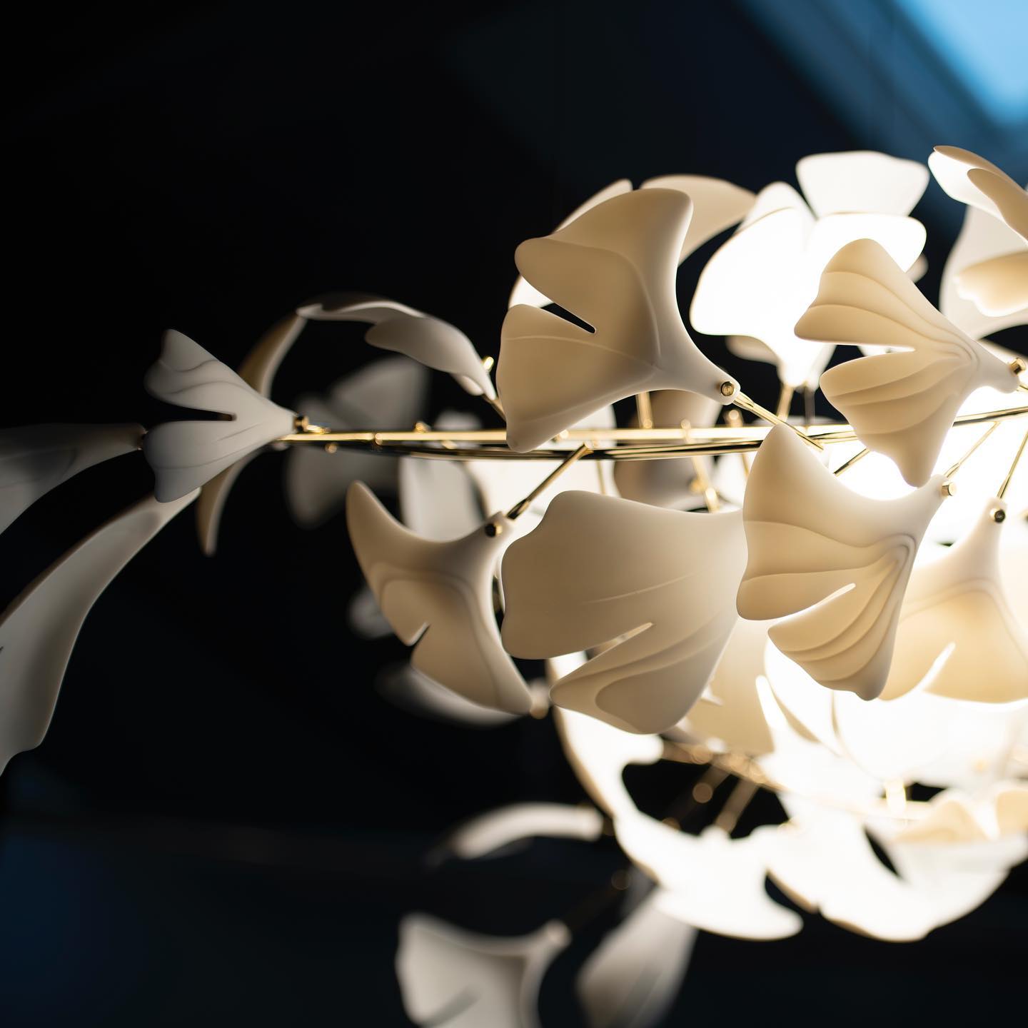 Lustre Gingko G