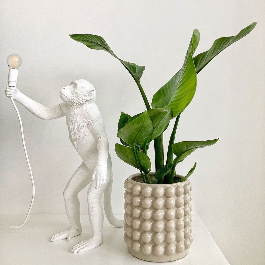 Monkey Resin Table Lamp