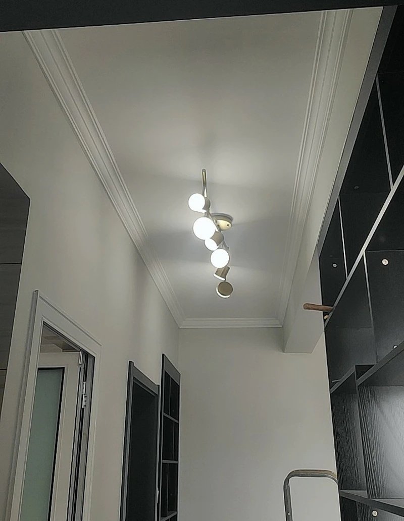 Luz de riel Luz de techo