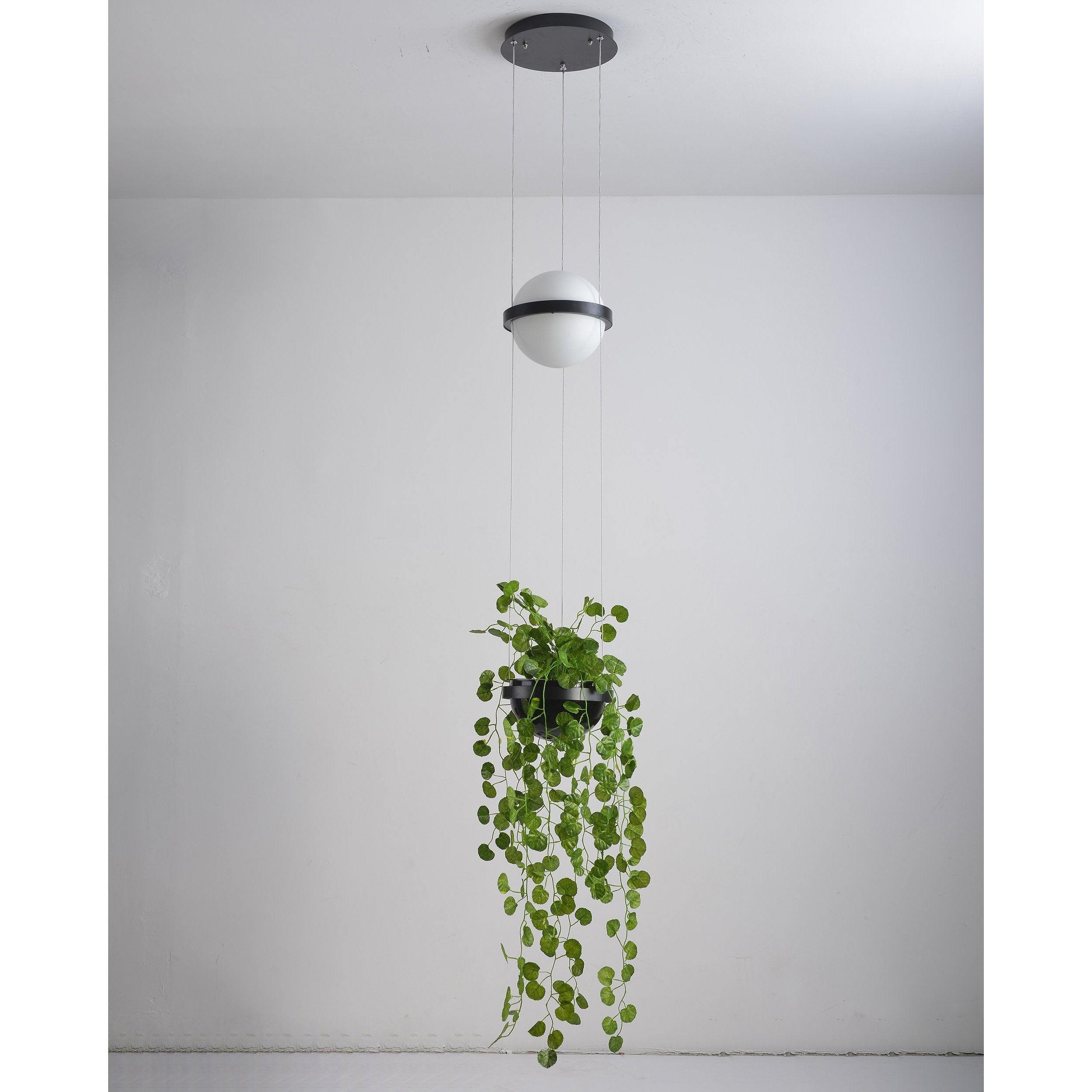 Palma suspension Lamp