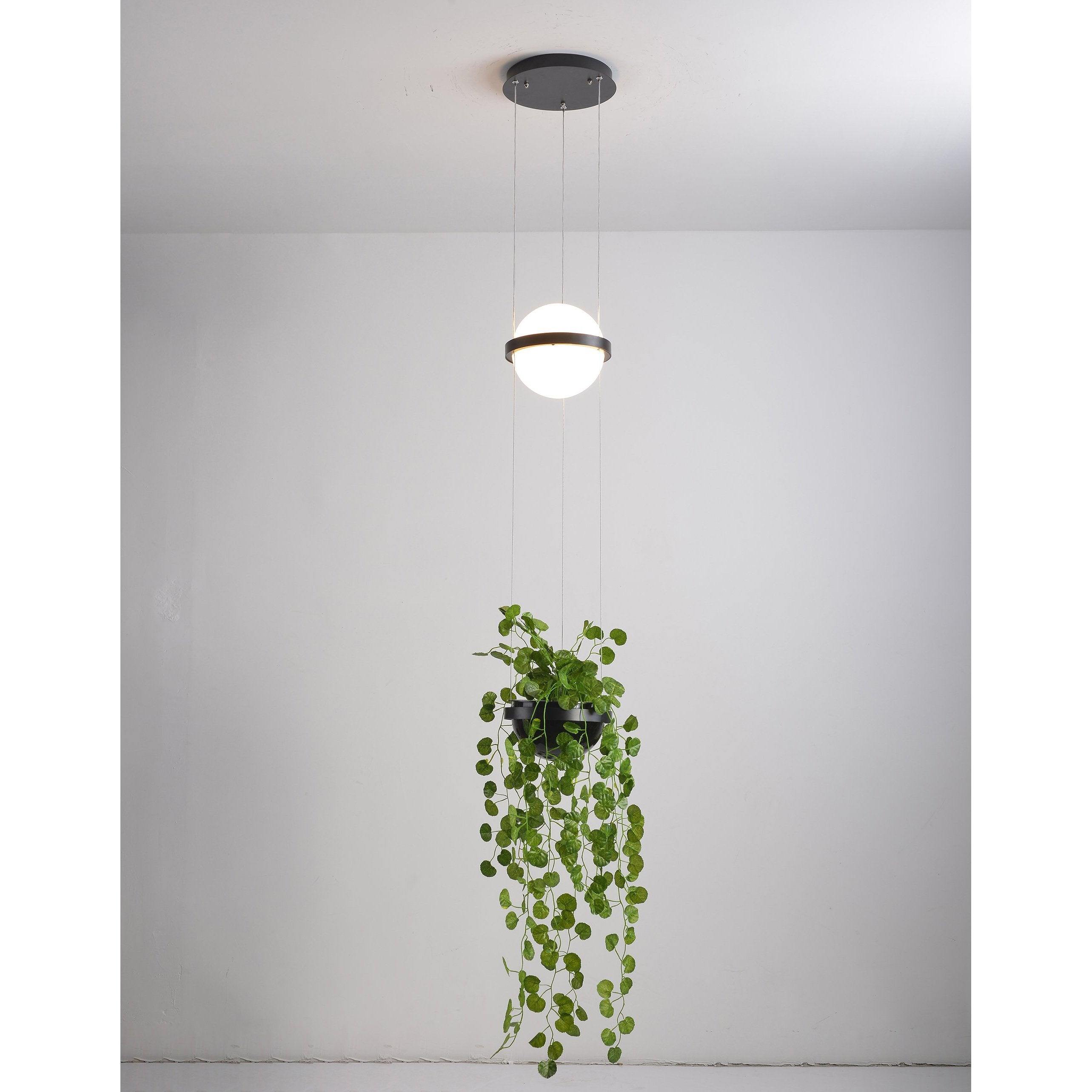 Palma suspension Lamp