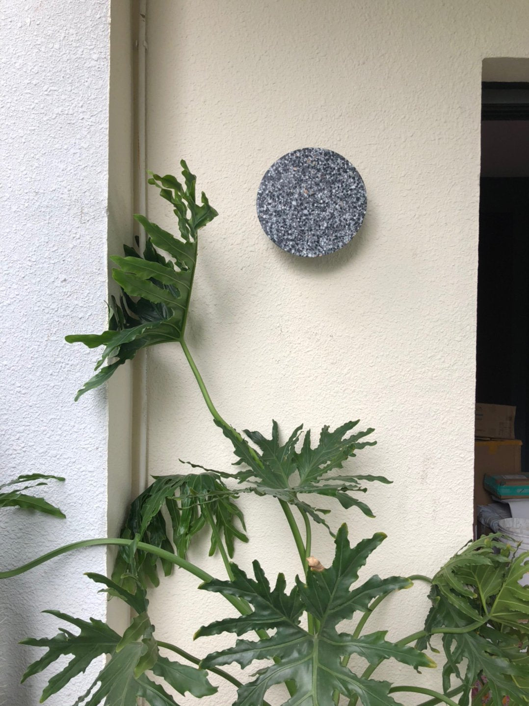 Pin Wall Lamp.
