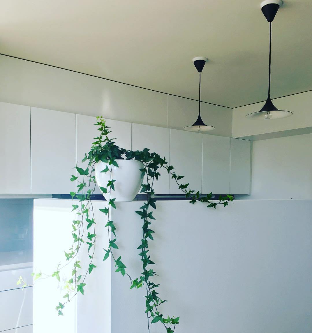 Semi pendant light